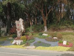 -新洲生态园