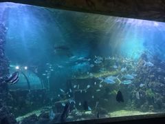-嘉兴海底世界