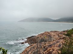 -广东惠东海龟国家级自然保护区