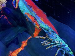 -海合安天津极地海洋公园