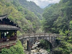 -泽雅七瀑涧景区