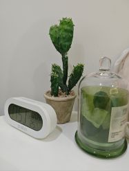 -VE专注问题肌·赛诺龙&科学美肤中心