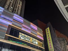 -大悦城(沈阳中街店)