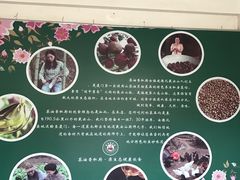 -茶油香闽南菜·花园餐厅(前埔店)