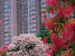 -华南师范大学(广州大学城校区)