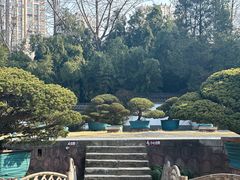 -水绘园