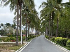 -亚龙湾国际玫瑰谷