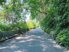 -西湖风景区-江洋畈生态公园