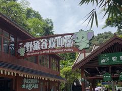 -野象谷景区