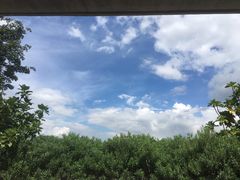 -深圳湾公园(南山区)