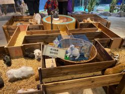 -酷嗒动物文化乐园(cutezoo西溪乐天城店)