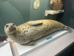 -国家自然博物馆