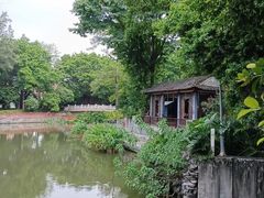 -荔湾湖公园