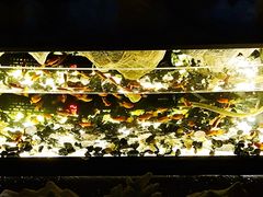 -C&R西班牙餐厅