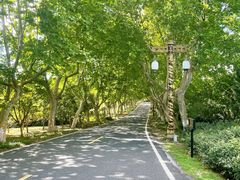 -宜兴龙背山森林公园