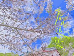 -颐和园