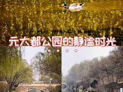 -元大都城垣遗址公园