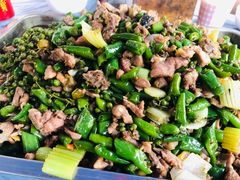 -铁山坪森林公园