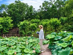 -广州莲花山旅游区