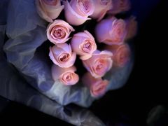 -俭寨大盘芦花土鸡·小公鸡·烧烤新疆菜(云通店)