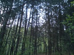 -雾灵西峰