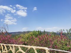 -北京西山国家森林公园