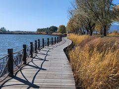 -野鸭湖国家湿地公园