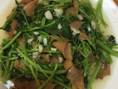 杏鲍菇炒鸡毛菜-温州一家人美食(西木头市店)
