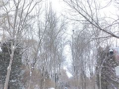 -北京动物园