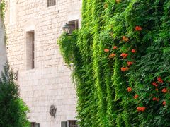 -华谊兄弟（长沙）电影小镇