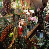 草莓🍓坚果松饼，幸福的味道[亲亲]