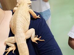 -藦茜花园宠物主题亲子互动体验馆(国顺东路店)