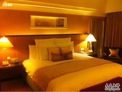 -上海波特曼丽思卡尔顿酒店