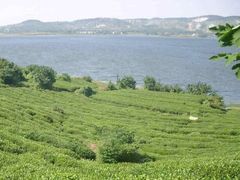 -南京金牛湖风景区