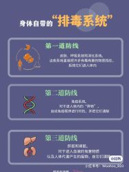 -香薇妮丝女子减肥院