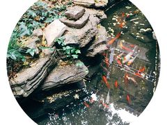 -古韵轩·江浙融合菜(梁溪店)