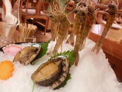 深水虾-尚海豆捞(乐虹坊店)