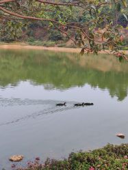 -佛灵湖水上乐园