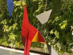 -旧金山现代艺术博物馆