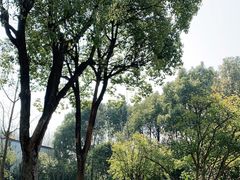 -宝界山林公园