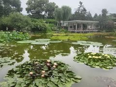 -国家植物园南园