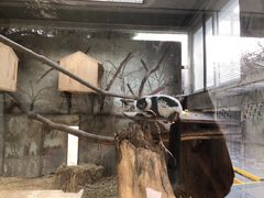景点-北京动物园