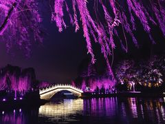 -湖滨客舍·湖北菜