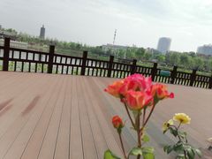 -西海子公园