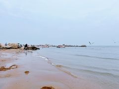 -老虎石海上公园