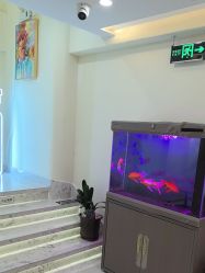 -海涛医疗美容·面部抗衰·注射美鼻