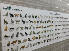 -瑞派名望志远动物医院·猫科·內科·异宠专科(直港大道店)
