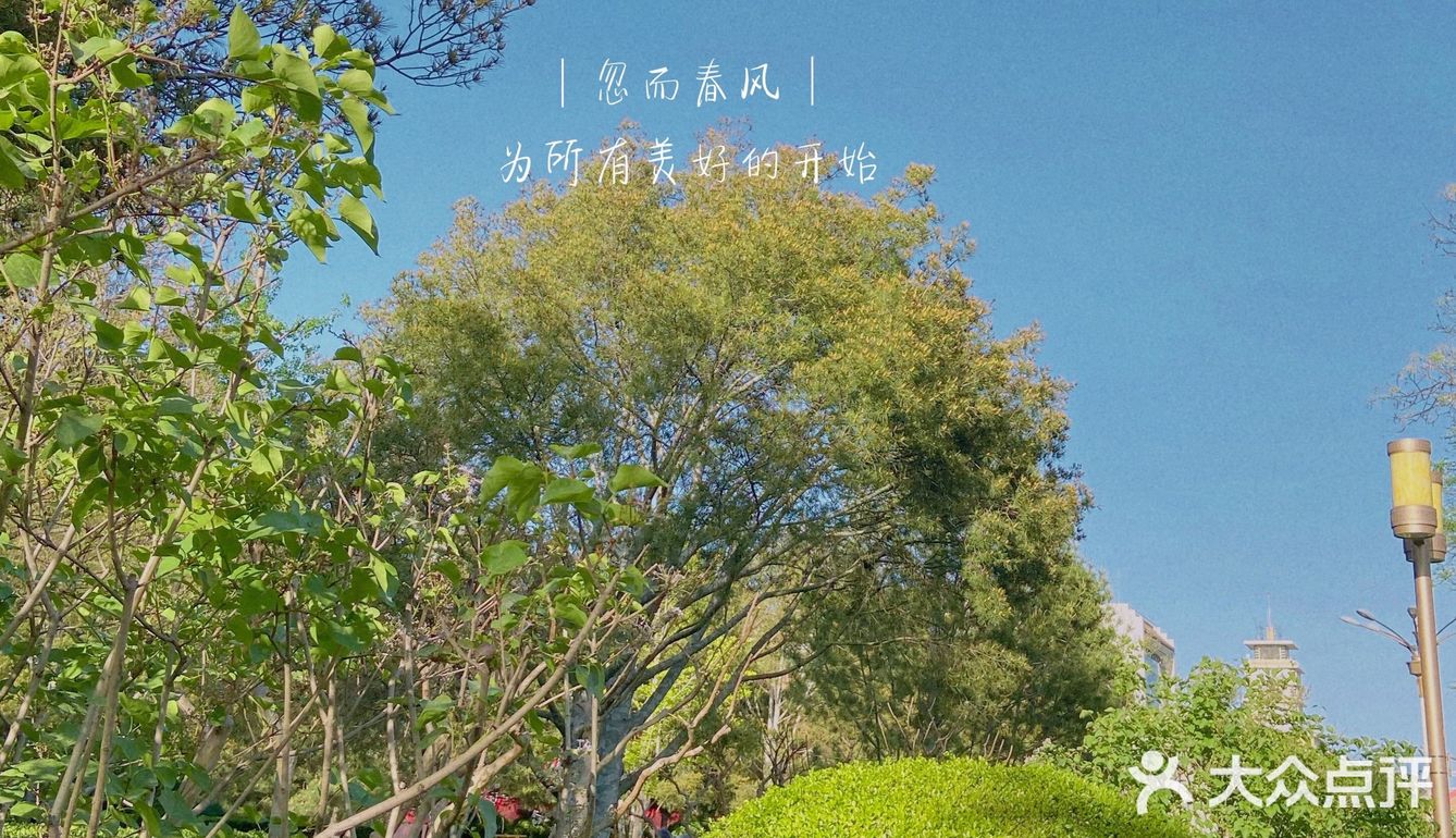 让我爱不释手的「小粽盒」