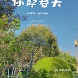 让我爱不释手的「小粽盒」