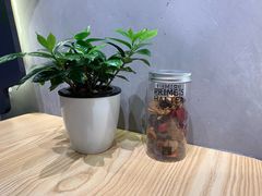 -素匠泰茶(三里屯SOHO工体奶茶店)